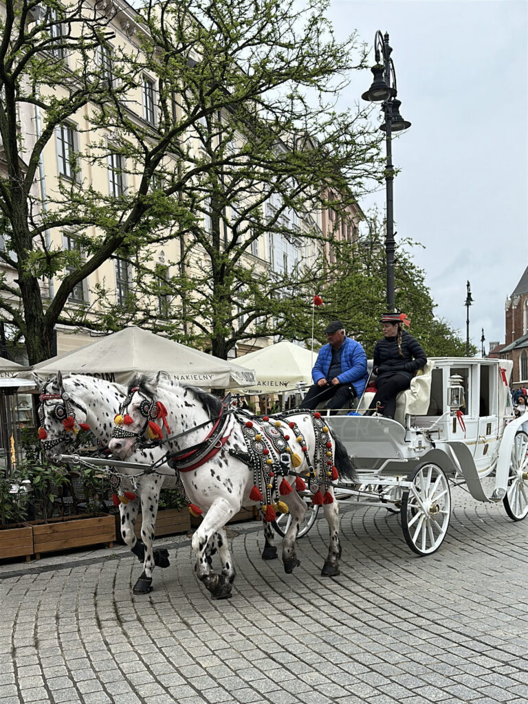 Cracovia - Piazza del Mercato